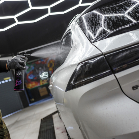 BadBoys Iron Remover 5L