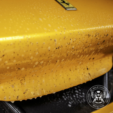 BadBoys Bug Remover 5L