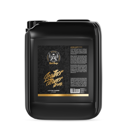BadBoys Leather Cleaner Strong 5L