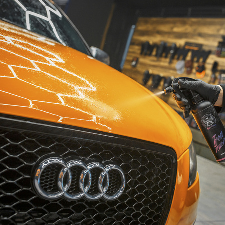 BadBoys Iron Remover 5L